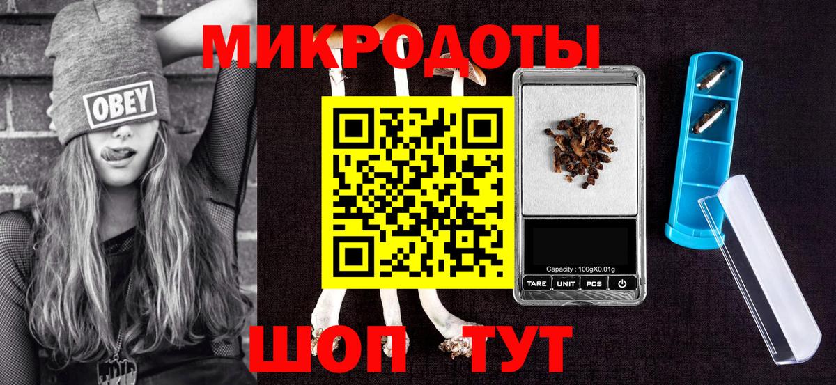 Галлюциногенные грибы Psilocybine cubensis Артёмовский